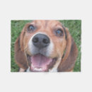 Suche nach beagle decken Jagdhund