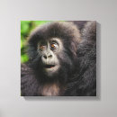Suche nach primat kunst Ape