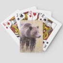 Suche nach grizzly spielkarten Bär