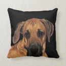 Suche nach great dane kissen Haustiere