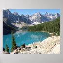 Suche nach evergreen poster Natur