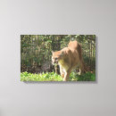 Suche nach puma leinwandbilder Natur