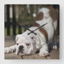Suche nach bulldogge wanduhren Hund