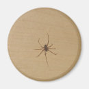 Suche nach spinne magnete Kühlschrank