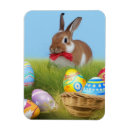 Suche nach oster magnete Für sie/ihn