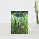 Suche nach cattails Landschaft