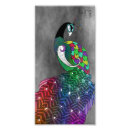 Suche nach bunte federn poster Vogel