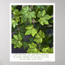 Suche nach rebs poster Jesus