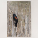 Suche nach flügel puzzle Jede person