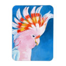 Suche nach cockatoo magnete Kakadu
