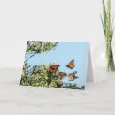 Suche nach aufheben karten Schmetterling