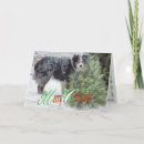 Suche nach hundchen liebe karten Hunde