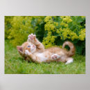 Suche nach lustige blumen poster Katze