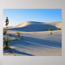 Suche nach yucca poster Barchan