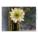 Suche nach morgenlicht Blume