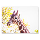 Suche nach giraffen foto poster Natur