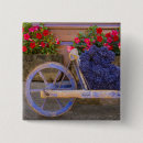Suche nach provence buttons Blume