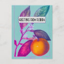 Suche nach citrus postkarten Bunt