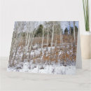 Suche nach birkenbaum karten Schnee