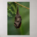 Suche nach bat poster Schläger