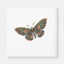 Suche nach papillons magnete Schmetterling