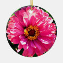 Suche nach département Blume