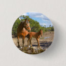 Suche nach reiter buttons Reiten