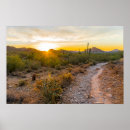 Suche nach arizona wüste poster Kaktus