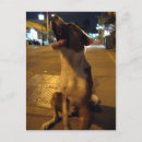 Suche nach pee postkarten Thai