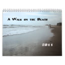 Suche nach muscheln kalender Wasser