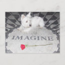 Suche nach westie postkarten Terrier