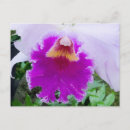 Suche nach cattleya postkarten Botanik