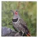 Suche nach nord fliesen Usa