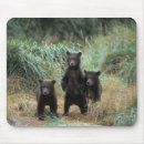 Suche nach grizzlybären mousepads Braunbär