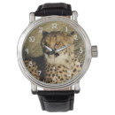 Suche nach katzen und accessoires Foto