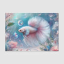 Suche nach betta fische Für alle