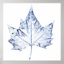 Suche nach ahornblatt poster Blau