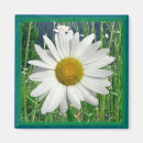 Suche nach gänseblümchen magnete Für alle