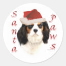 Suche nach king runde aufkleber Spaniel