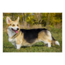 Suche nach welsh corgi poster Haustier