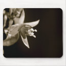 Suche nach fuschia mousepads Natur