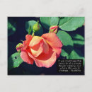 Suche nach florist postkarten Rose