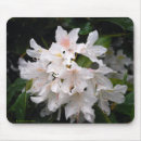 Suche nach azalee mousepads Rhododendren
