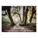 Suche nach national park poster Baum