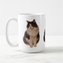 Suche nach norwegisch tassen Katze