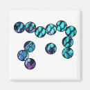 Suche nach bakterien magnete Für alle