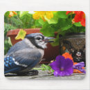 Suche nach blaues blumen mousepads Vögel