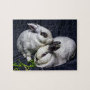 Suche nach rettung puzzle Haustiere