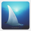 Suche nach mantarochen aufkleber Unterwasser