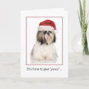 Suche nach shih tzu waren karten Weihnachten